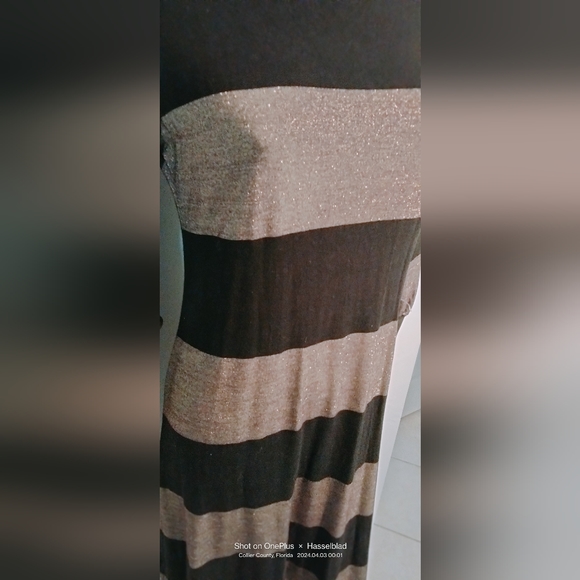 NWT Women's Blue Sage Shimmer gold/Black Stripe Stretchy Thin Mat'l - Picture 3 of 9